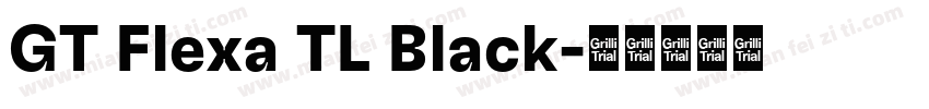 GT Flexa TL Black字体转换
